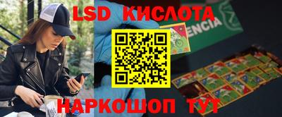 крисы Донецк